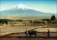 Japan: Two young men ploughing with an ox beneath the slopes of Mount Fuji, c.1910